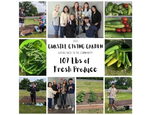 Gurstel Gives back to the Community